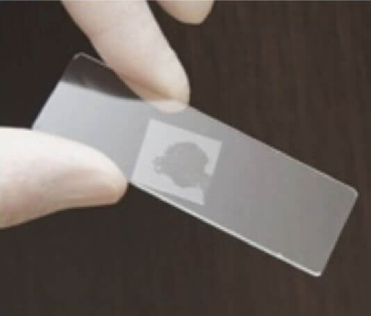 顕微鏡にセット